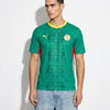 Senegal-Heimtrikot zur Weltmeisterschaft 2026 – Die Löwen der Teranga