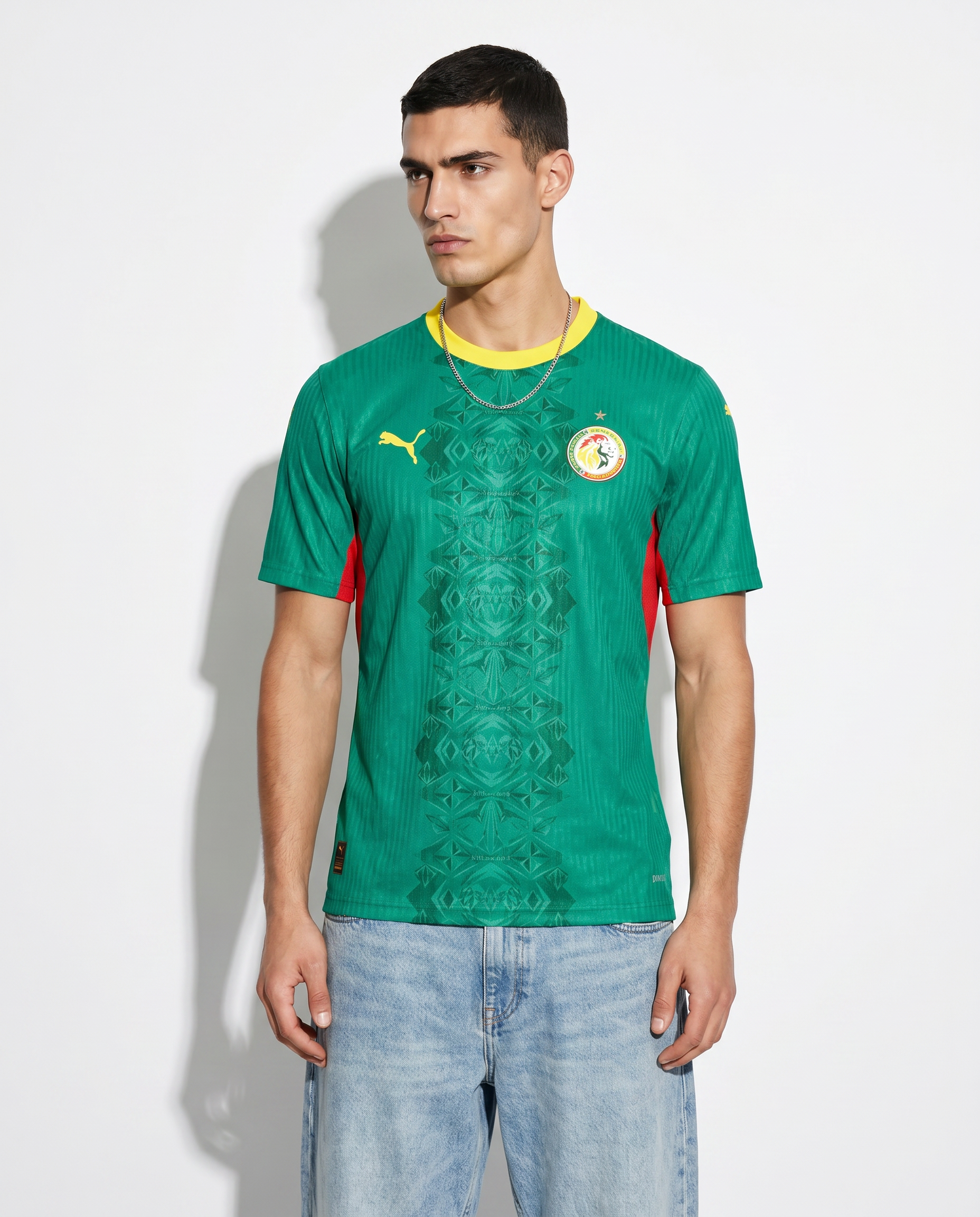 Senegal-Heimtrikot zur Weltmeisterschaft 2026 – Die Löwen der Teranga - Gallery 1